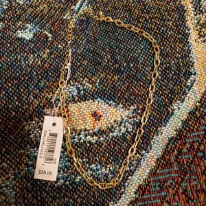 NWT Uncommon James Gold Chain Necklace
